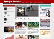 Hypergrid Business website
