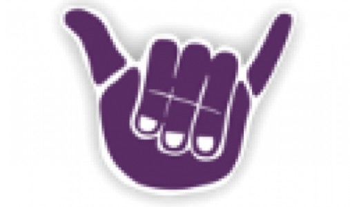 kokua viewer voice settings kokua viewer voice settings