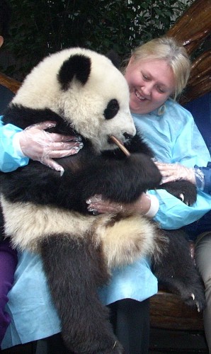 That's me in Chengdu, China. Holding a live baby panda.