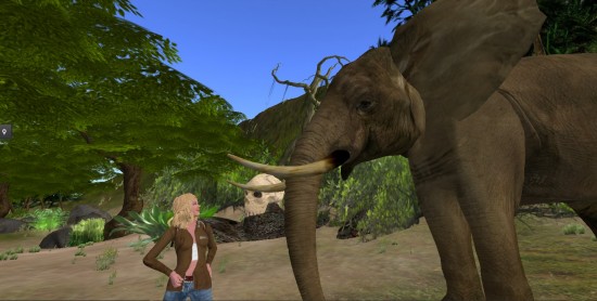 The safari-themed Virunga Mountains region on OSgrid. That elephant was feisty.