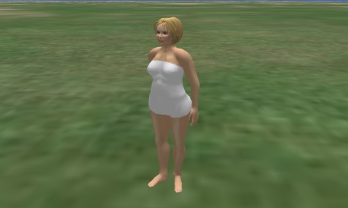 Hillary Clinton Avatar with baked-on underwear.