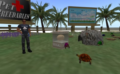 Josh Boam and his LifePet Breedables turtles.