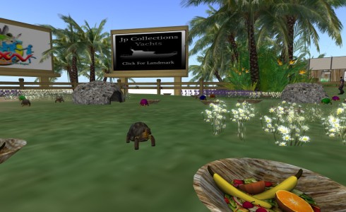 A LifePet Breedable turtle eats mesh fruit, as visible in the bowl above.