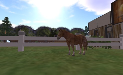 The breedable horses are still under development.