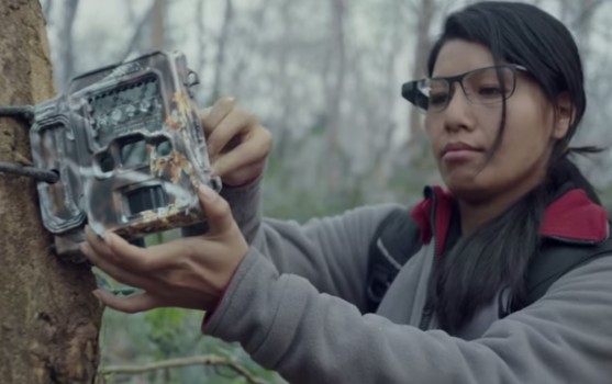 WWF's Sabita Malla uses Google Glass in the field. (Image courtesy Google.)