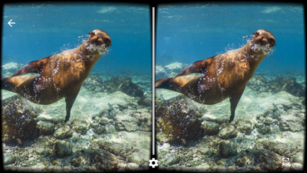 An immersive view of one of the undersea destinations.